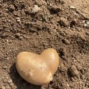 환경연합에코생협(화곡) 이미지