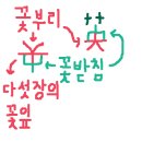 빛날영:煐