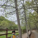 🤍청암산 숲체험 🌲, 봄꽃 화분 만들기 🌷🤍 이미지