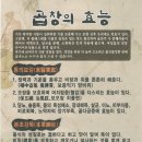 곱창왕국 이미지