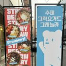 더그릭베어 이미지