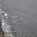 제주 송악산 해안 일제 동굴진지 이미지