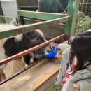 진고개농장 이미지