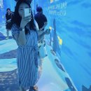 조형조각배 이미지