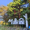 (주)나비원 | 서울 단풍 명소 11월 첫째 주 서울숲 은행나무숲, 거울연못, 서울숲 주차요금, 서울숲 루프탑 카페 센터...