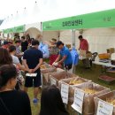강화고려인삼영농조합법인