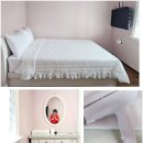 안면애견펜션프리독 이미지