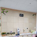 용흥초등학교병설유치원 이미지