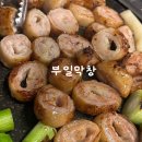 대구 진천 월배역 평일웨이팅 맛집 “부일막창” 웨이팅후기/주차