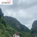 대화국제여행사 이미지