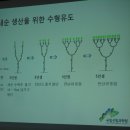 레이호 이미지