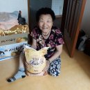 삼학동주민센터 이미지