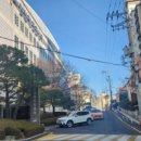 서초강남키즈 네이버블로그