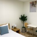 네오스 양양 이미지