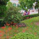 옥천읍행정복지센터 이미지