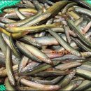 황제추어탕 이미지