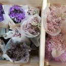 그린인테리어 홈가드닝 이미지