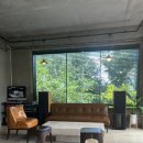 산성애견