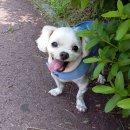 아람이네 이미지