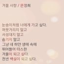 나경목장 Daum카페