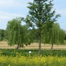 거창-거창-1 오마이뉴스