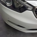 황금카모터스 이미지