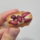안양관양시장 | 옹기종기땅콩빵 안양관양점: 관양시장맛집 땅콩빵 순삭 후기