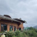 거제도여행기 1일차 - 소향다원, 맹종죽테마파크, 거가대교, 매미성
