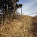 사동회관 이미지