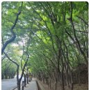 호텔루나 이미지