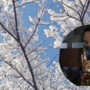 잊혀진 여인.최병춘 alt.sax 이미지
