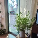 경상남도도청 | 경남도청 브런치카페 윌로 브런치 이용후기