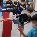 합기도 심무도관 이미지