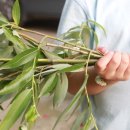 버들피리 이미지