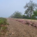 당포성 탐방안내소 이미지