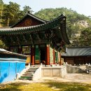 [ 천하절경 ] 오대산 소금강계곡 단풍+비로봉+해파랑길 트레킹 3일(11.4-6 수-금) 이미지