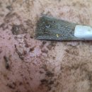 세마메디칼 이미지