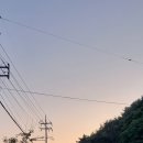 한별 반려동물 장례식장 이미지