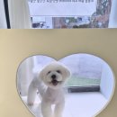 솔밭미용실