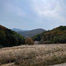 라 까시나 이태리 이미지