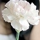 아이넷 폴리스 이미지