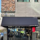 펫바스로 동탄 이미지