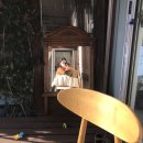 노을이내리는나루 이미지