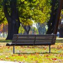 회신 윤동주 귀하 이미지