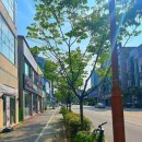 세라젬웰카페춘천퇴계점