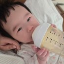 220 먹는 122일 히히 (feat. 수유자세, 분유포트, 수유템 정리)
