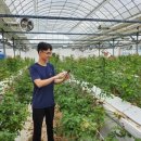 무장농장 이미지