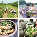 강산농원 이미지