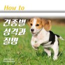잘하는 동물메디컬센터 네이버블로그