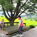 지산2리 경로당 이미지